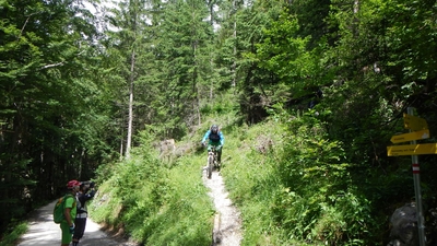 Klicken für Bild in voller Größe