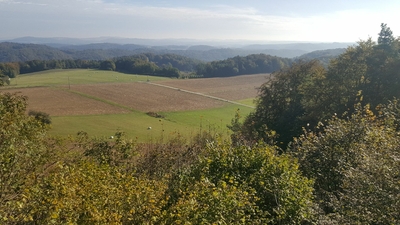 Klicken für Bild in voller Größe