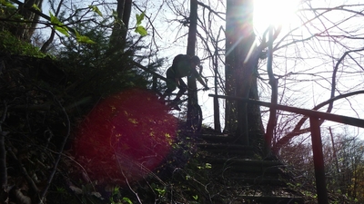 Klicken für Bild in voller Größe