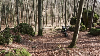 Klicken für Bild in voller Größe