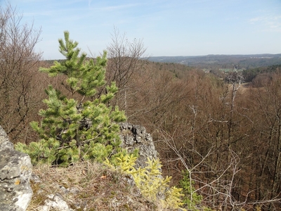 Klicken für Bild in voller Größe