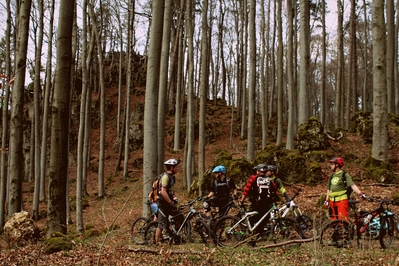 Klicken für Bild in voller Größe