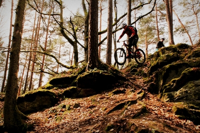 Klicken für Bild in voller Größe