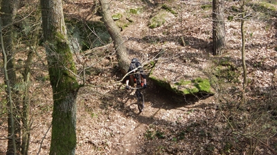 Klicken für Bild in voller Größe