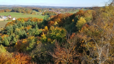 Klicken für Bild in voller Größe